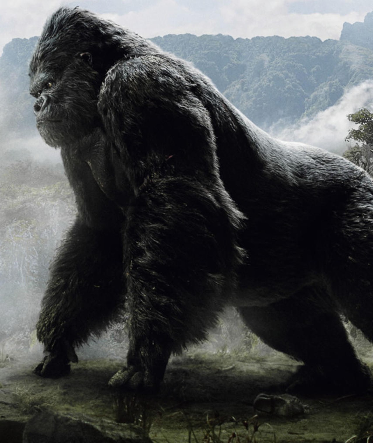 King Kong Películas, biografía y listas en MUBI