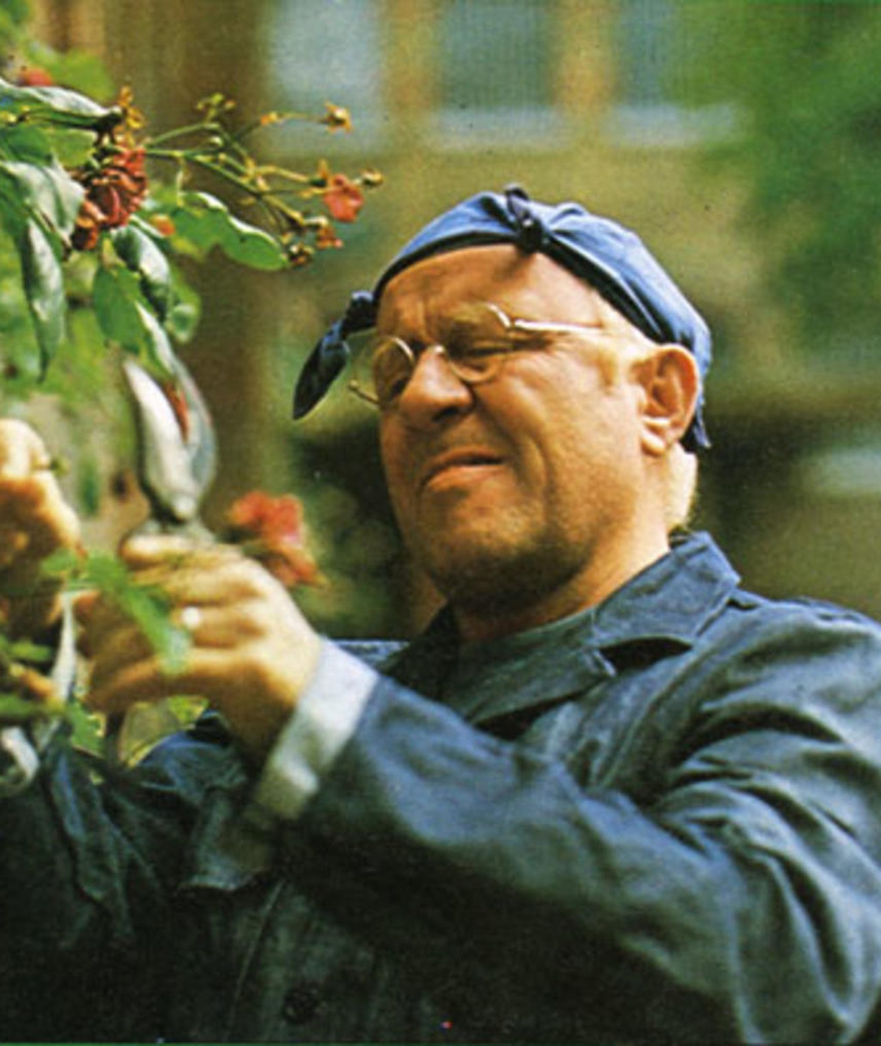 Foto van Arnie Breeveld