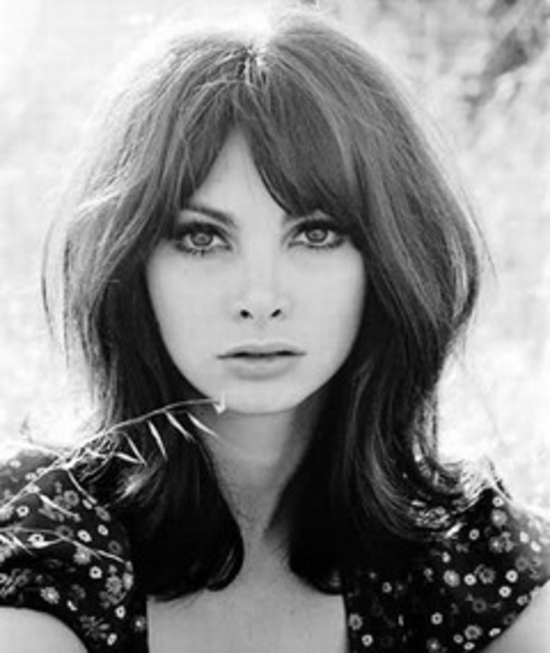 Pictures of toni basil