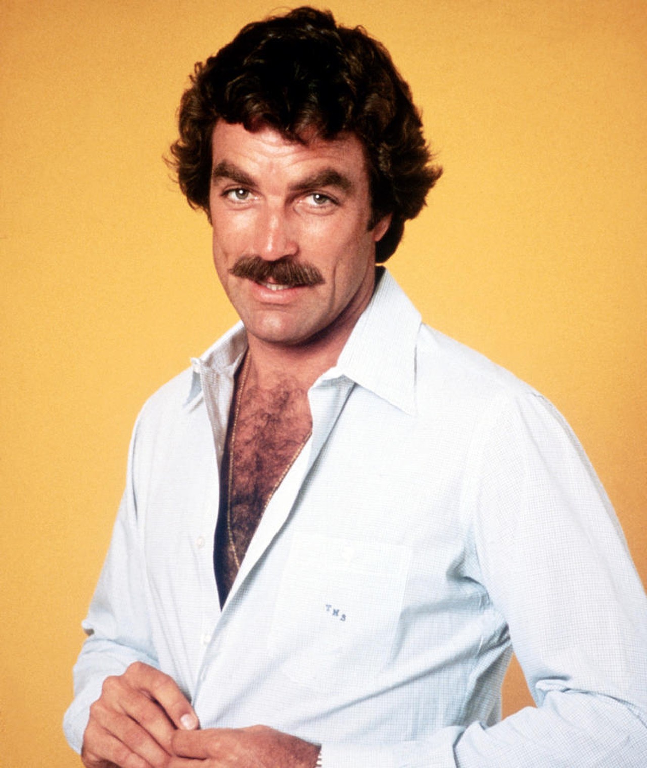Tom Selleck's films include Friends, Meet the Robinsons, Terminal Isla...