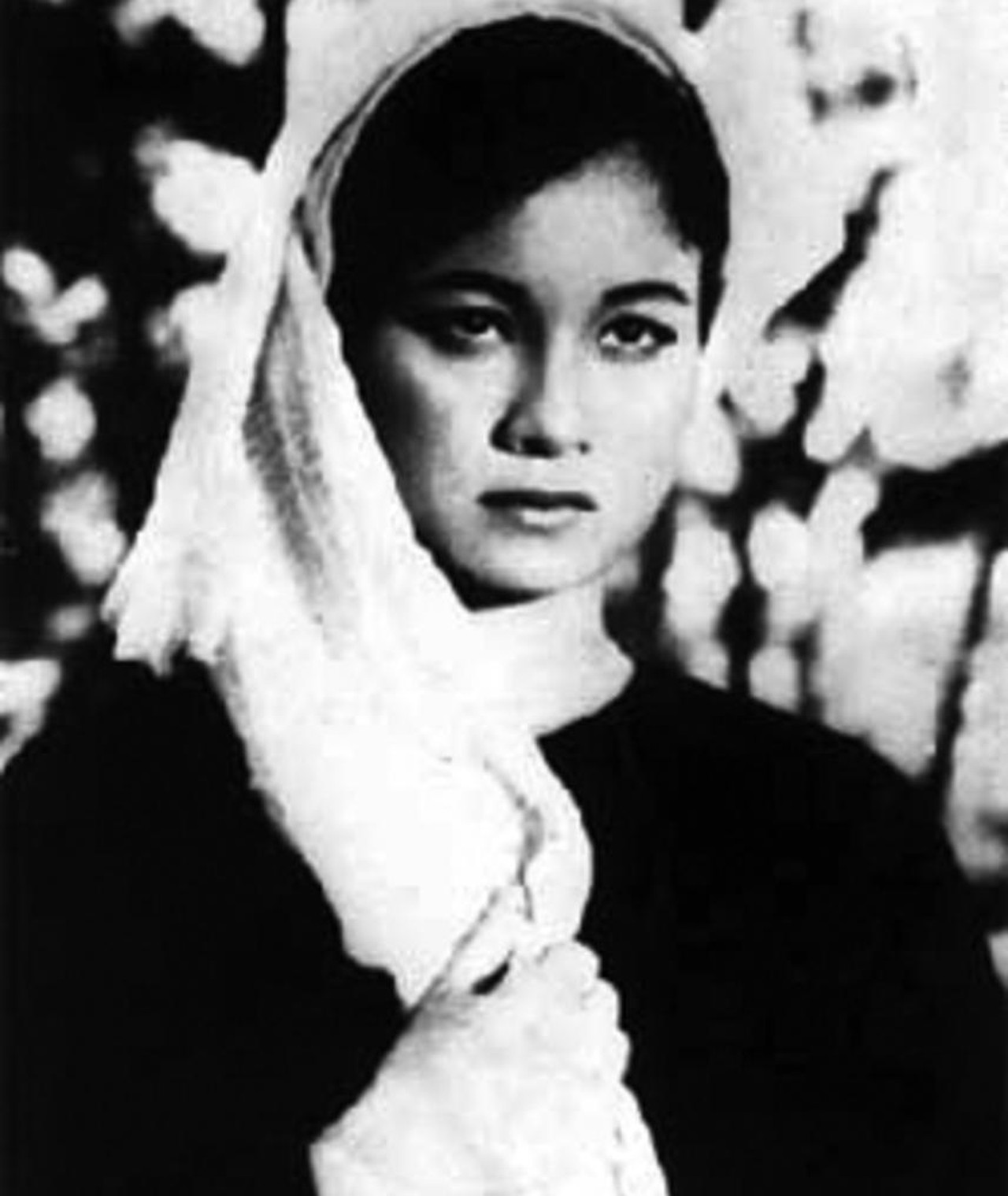 Photo of Tuệ Minh