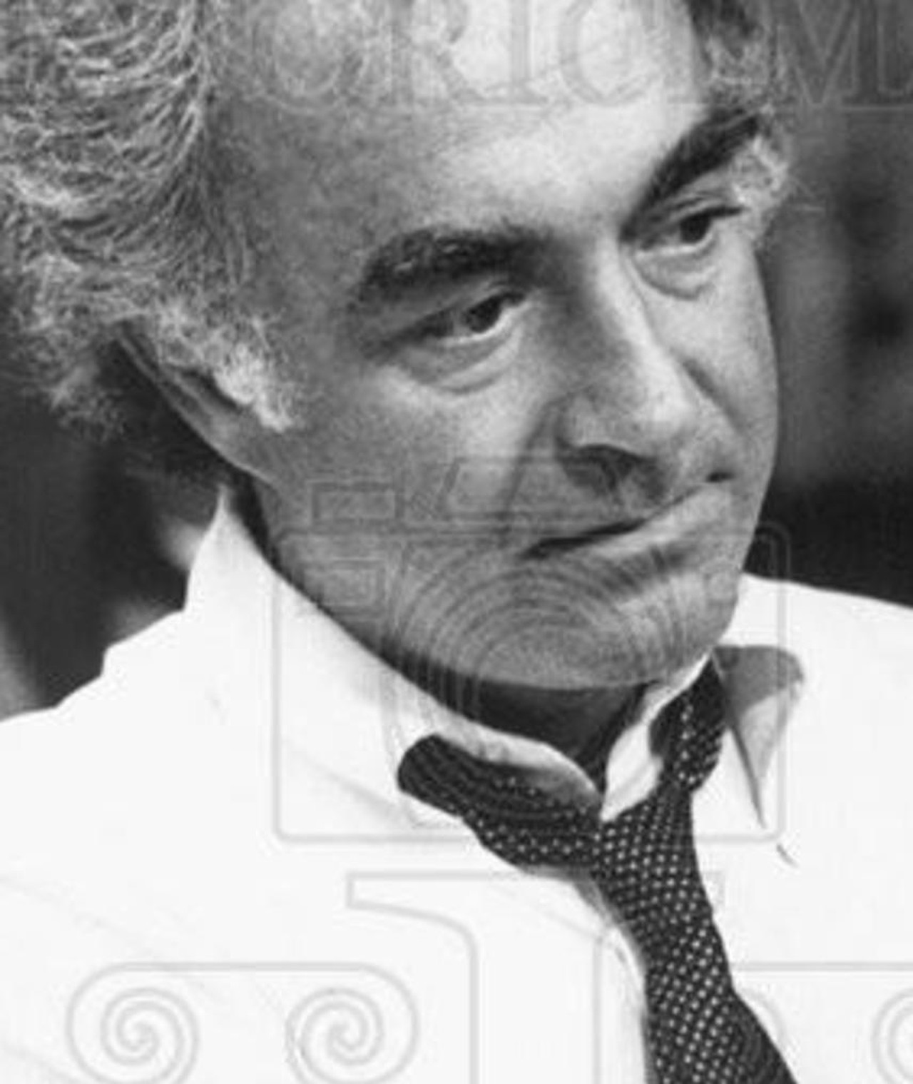 Photo of David Lazer