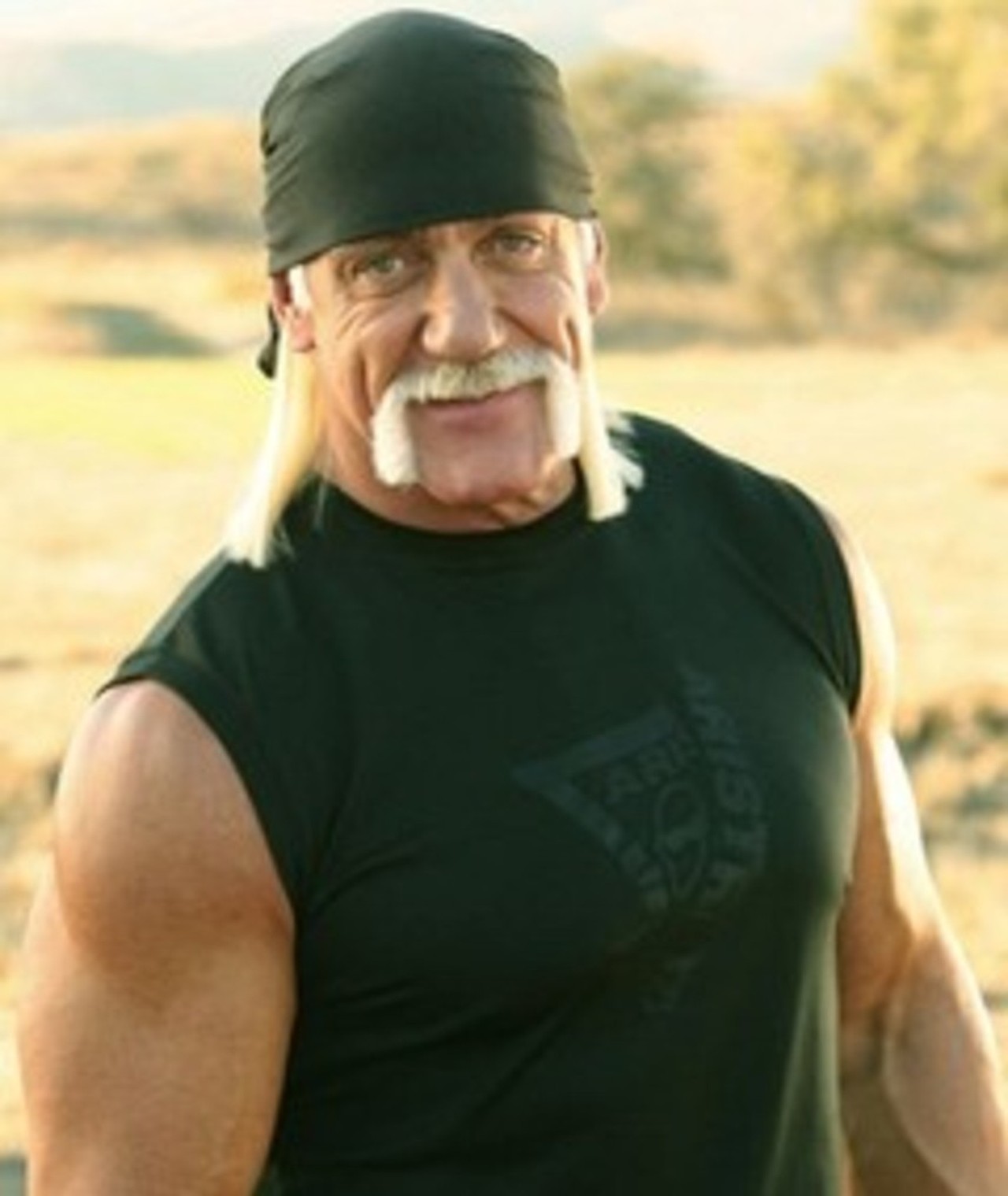 Hulk Hogan – Movies, Bio and Lists on MUBI