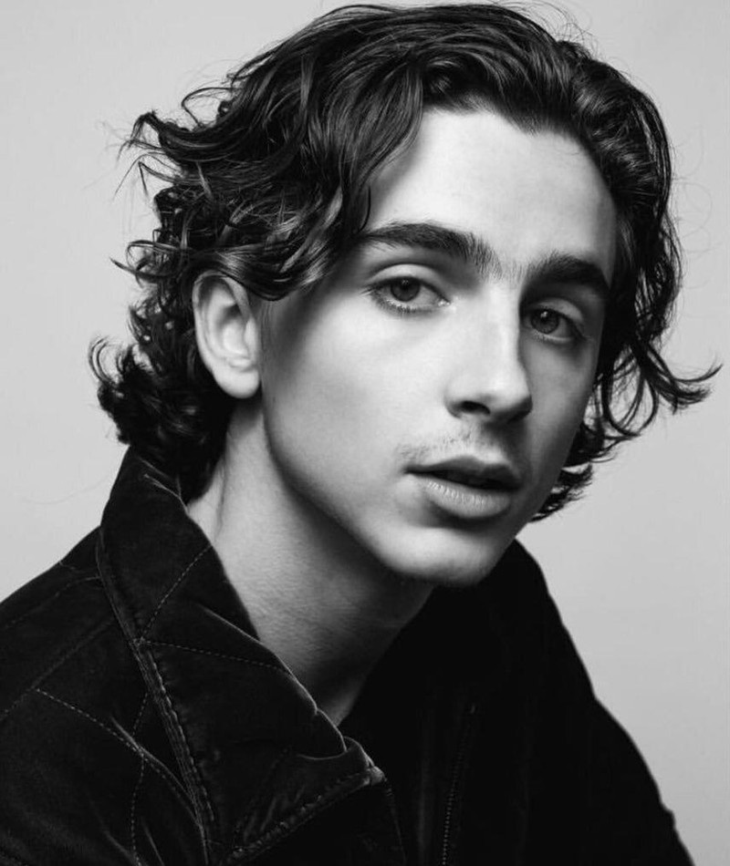 Photo de Timothée Chalamet