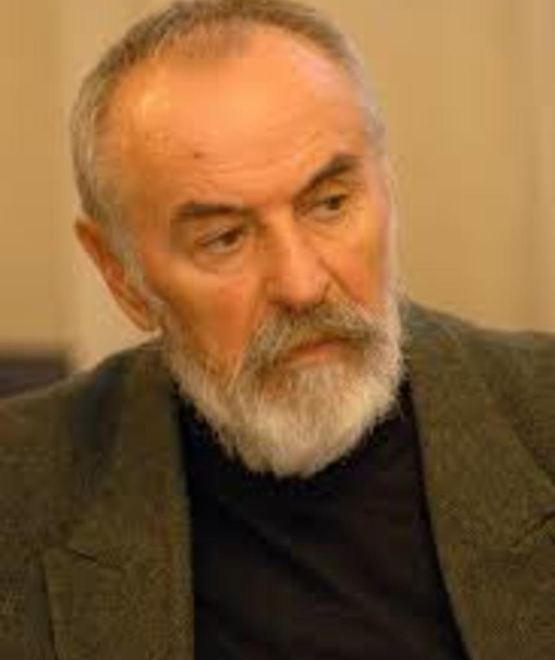 Photo of Karolj Viček