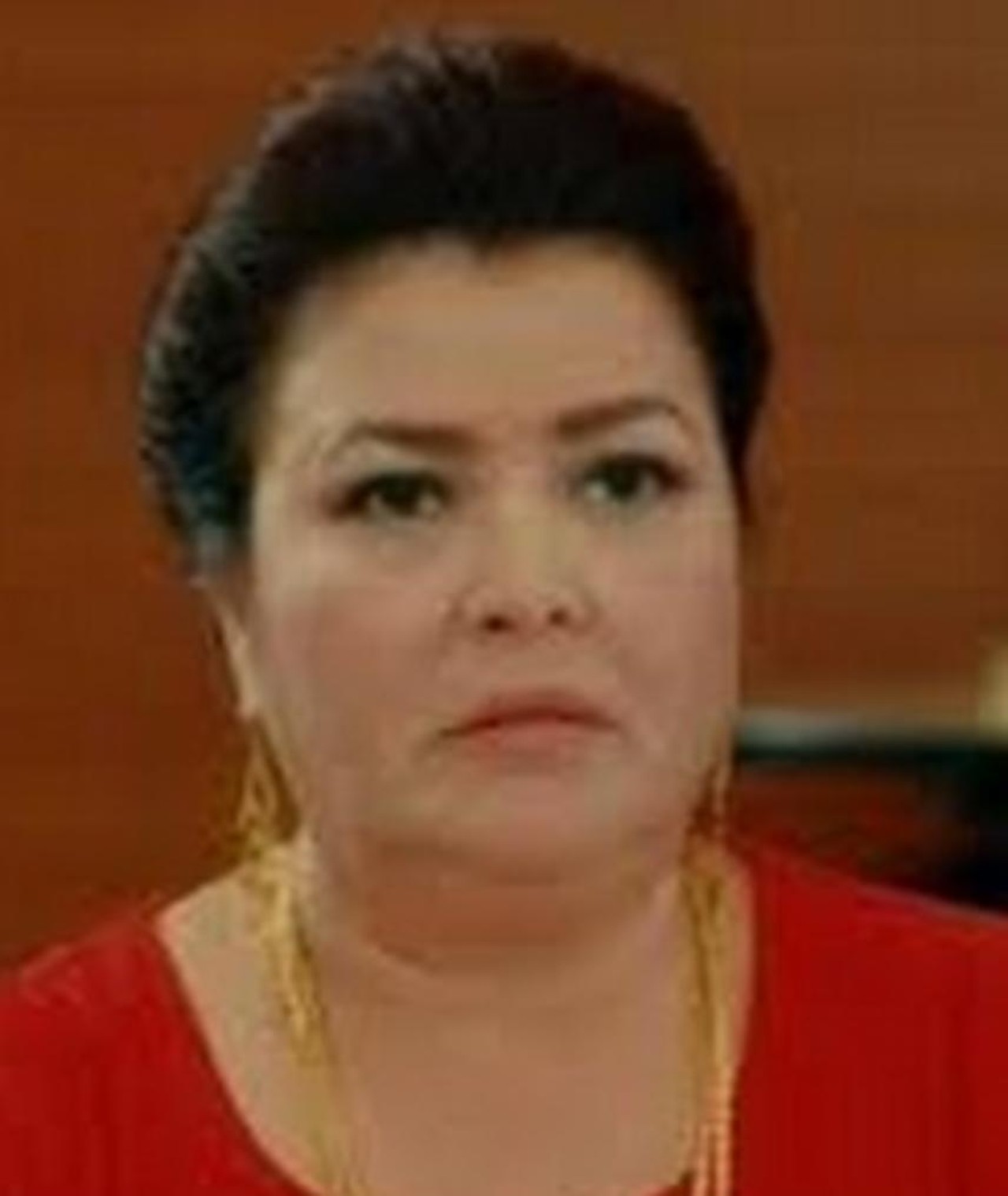 Photo of Aydan Burhan