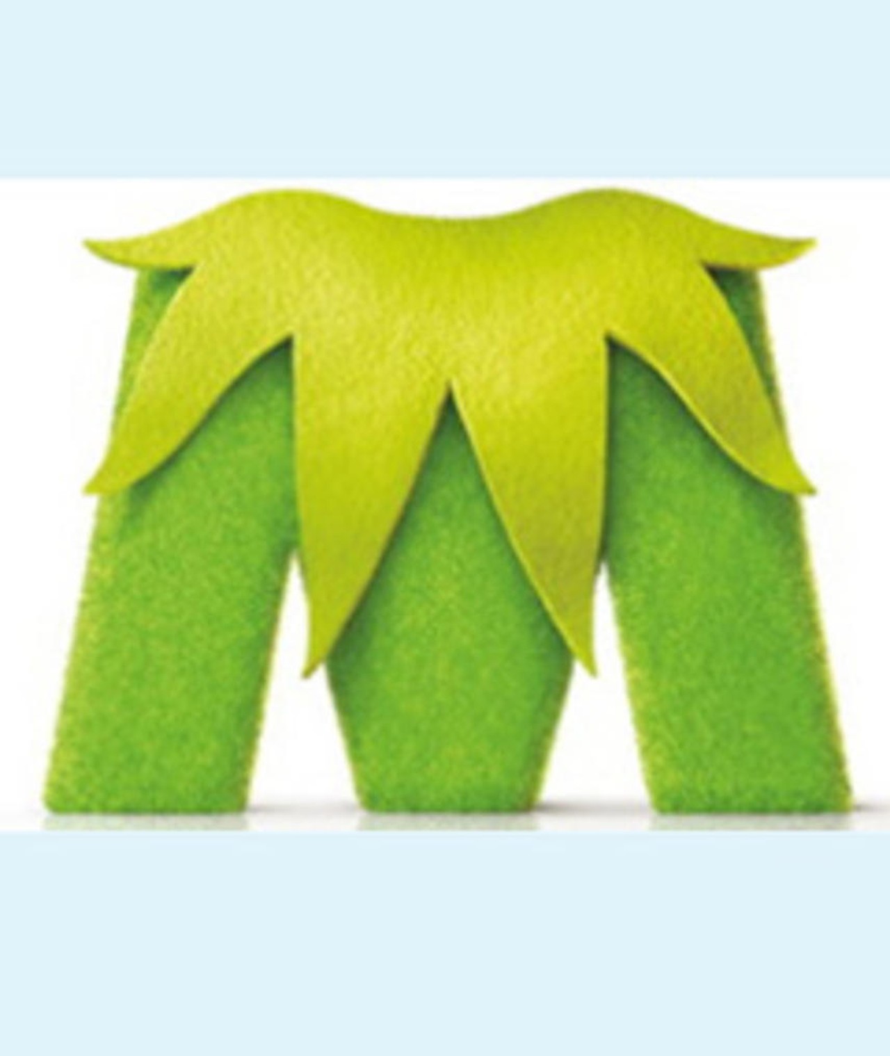 Foto van The Muppets