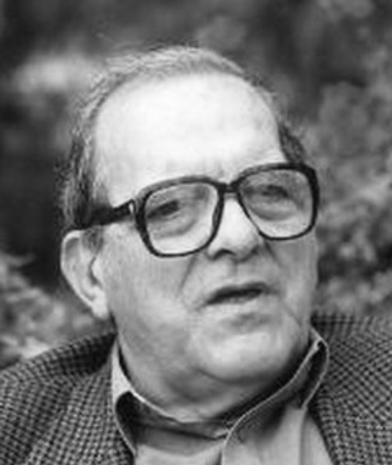 Photo of Damiano Damiani
