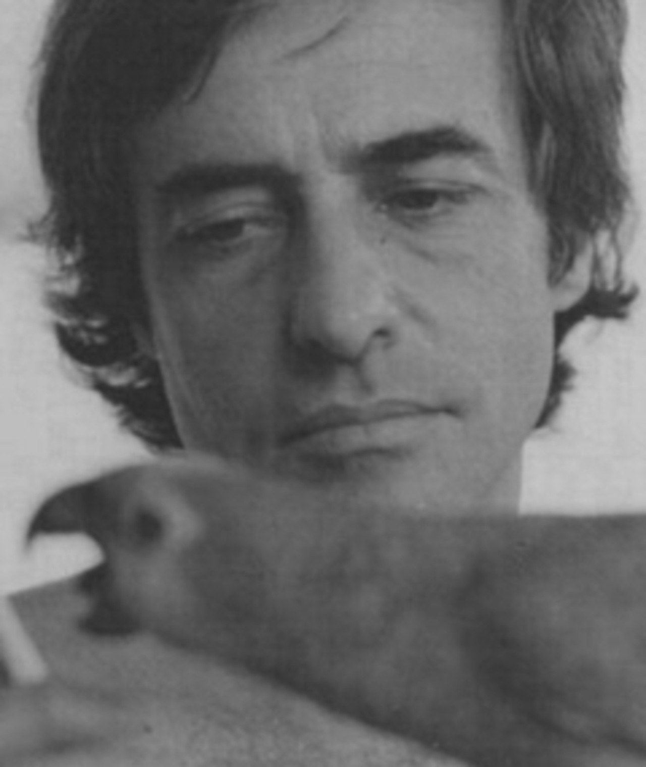 Photo of Joaquim Pedro de Andrade