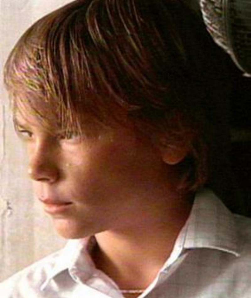 David Arnott Movies, Bio and Lists on MUBI