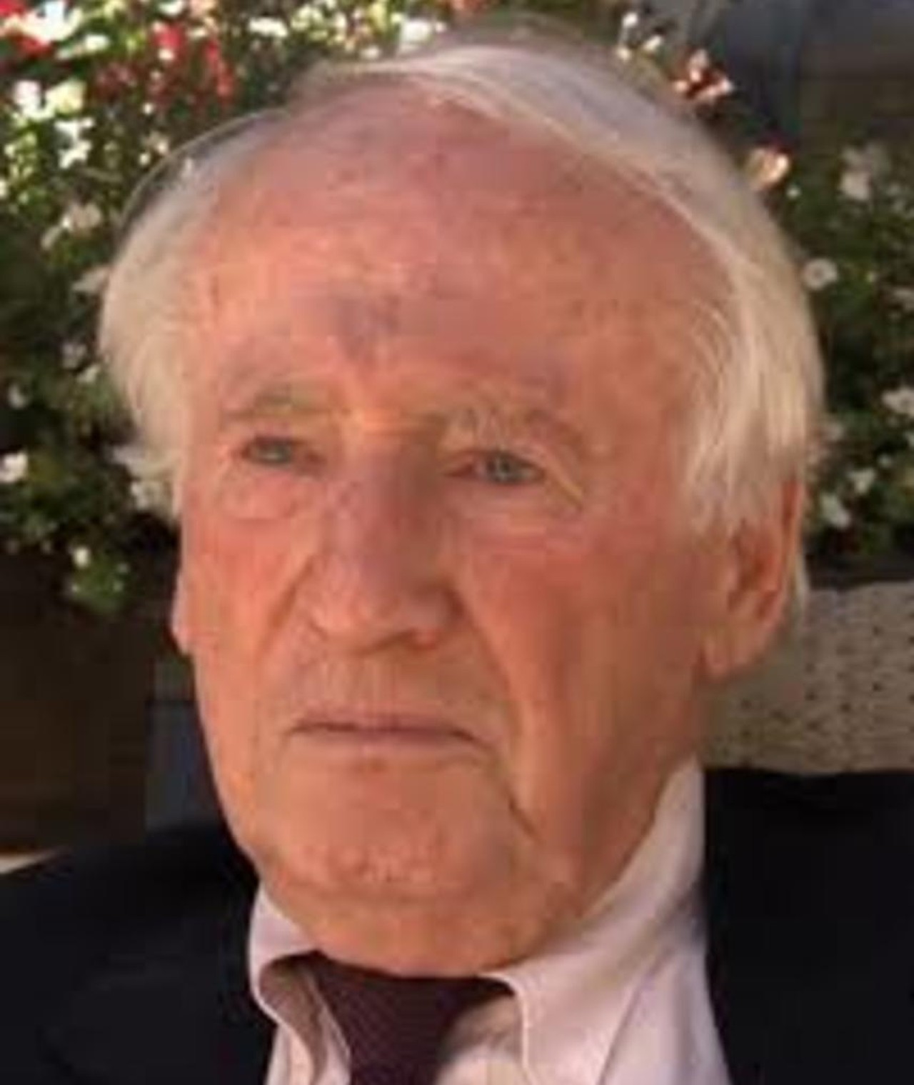 Foto di Herbert F. Solow