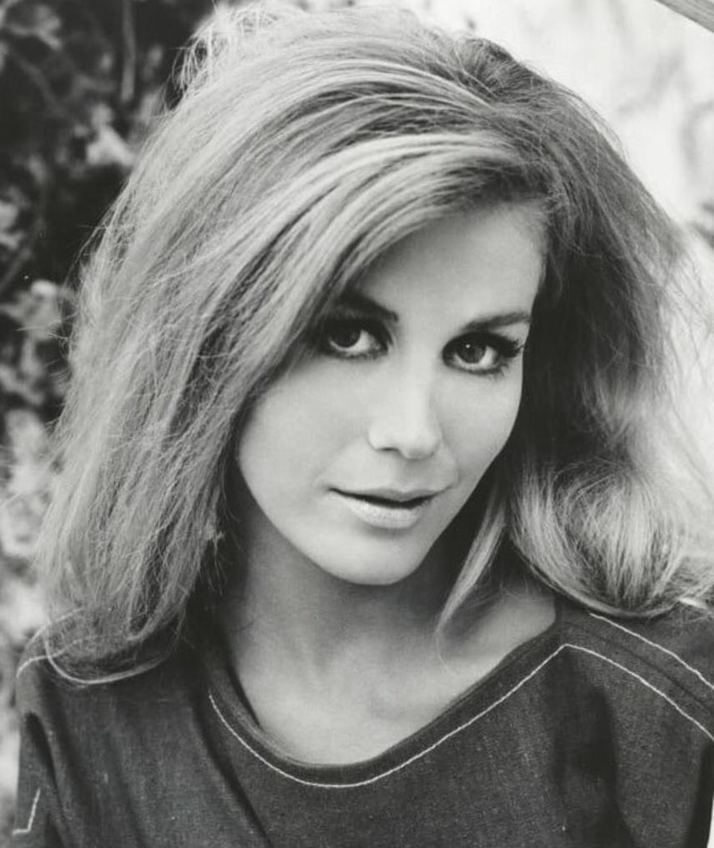 Valora Noland Movies, Bio and Lists on MUBI