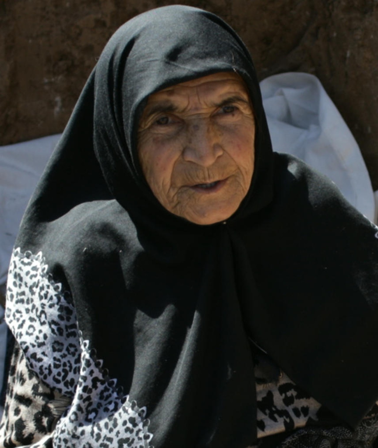 Photo of Maedeh Erteghaei