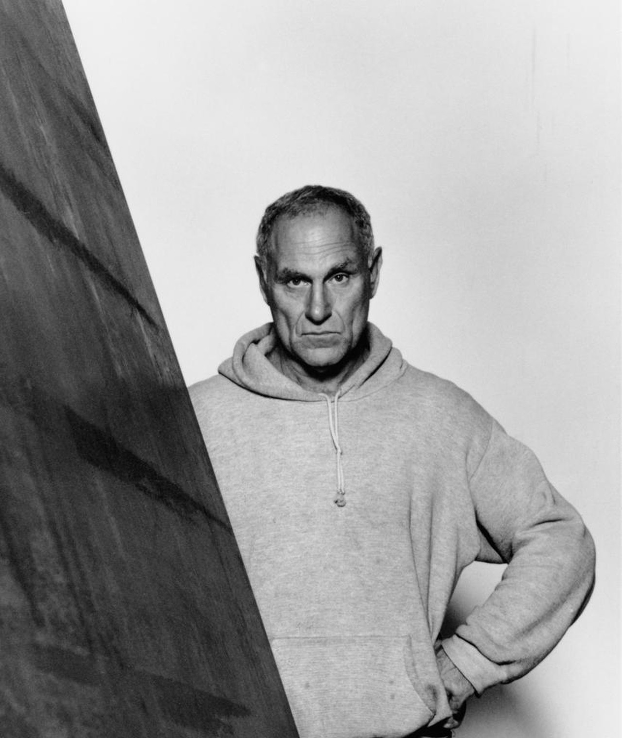 Photo of Richard Serra