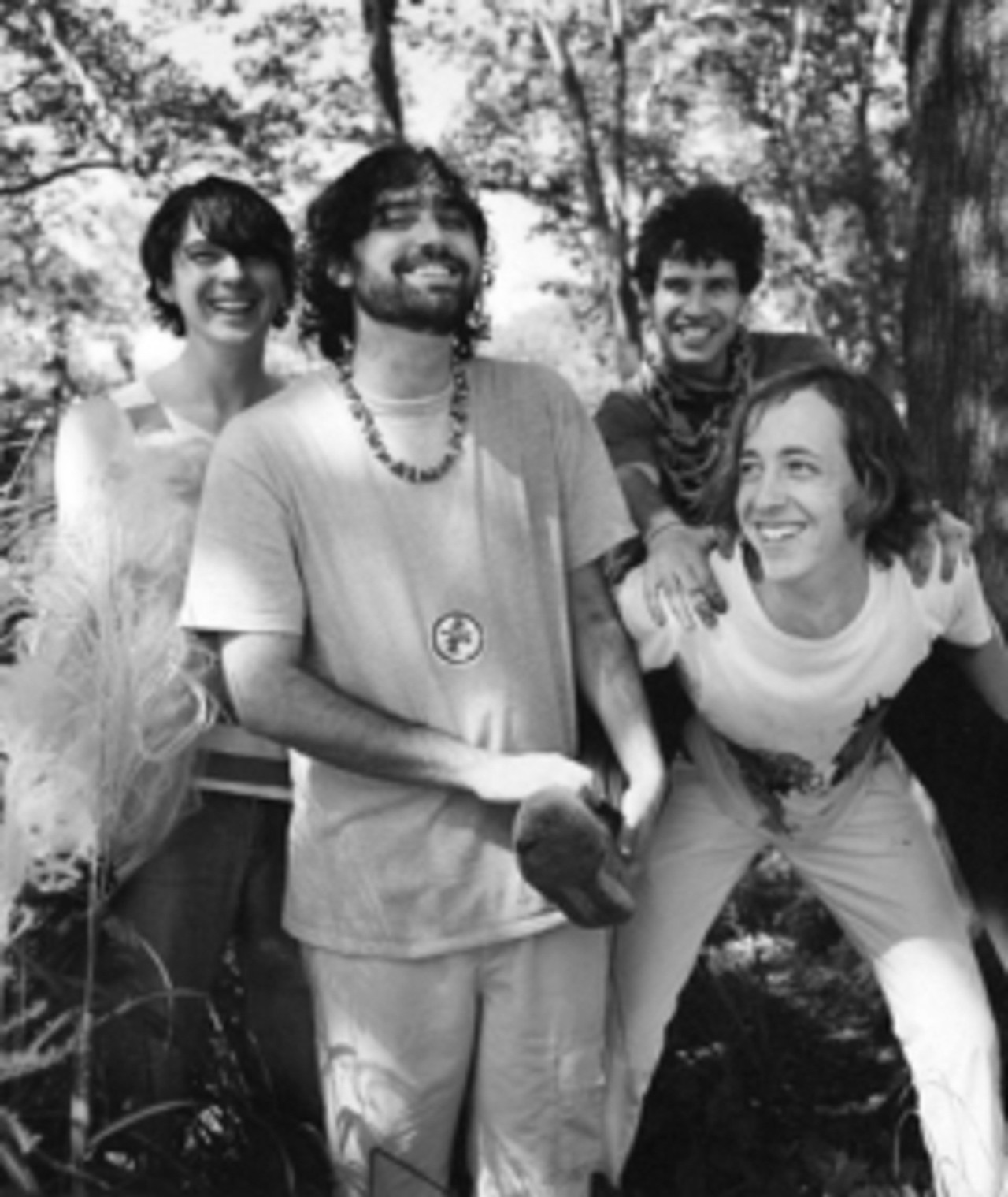 Photo of Animal Collective