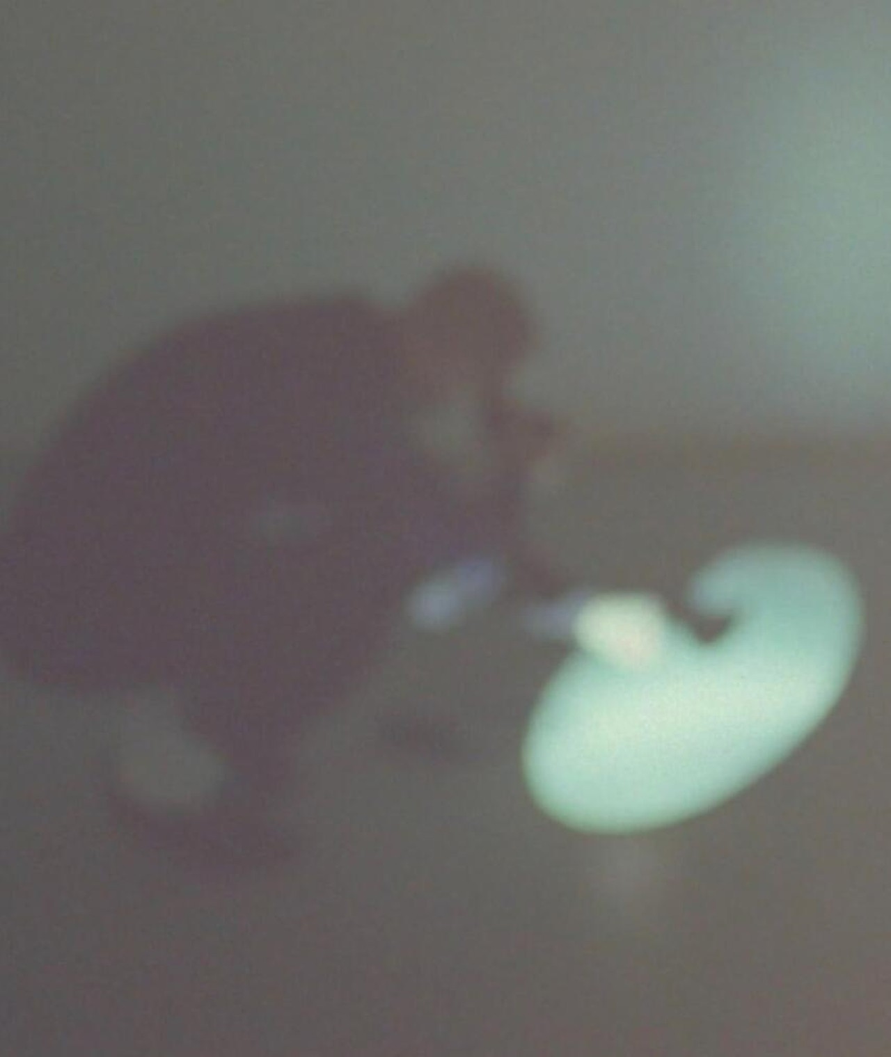 Photo of Ryan Marie Helfant