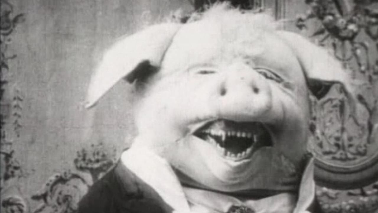 The Dancing Pig
