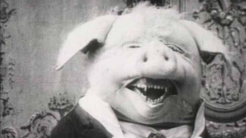The Dancing Pig