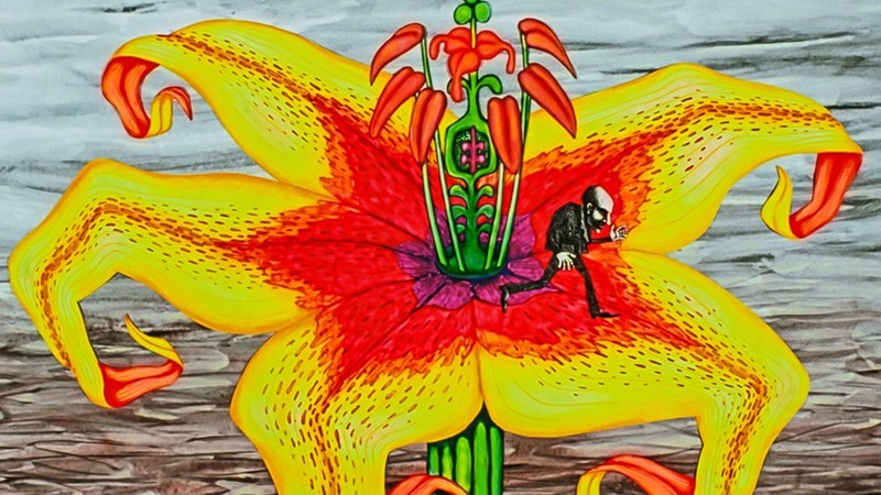 A Flower