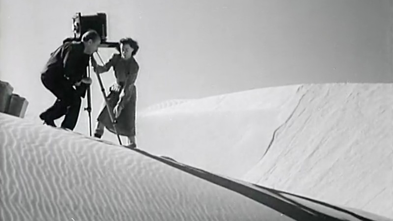 The Photographer