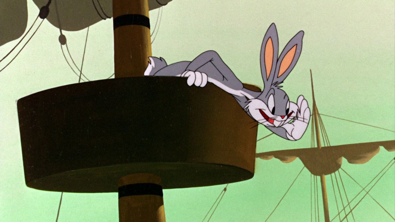 Buccaneer Bunny
