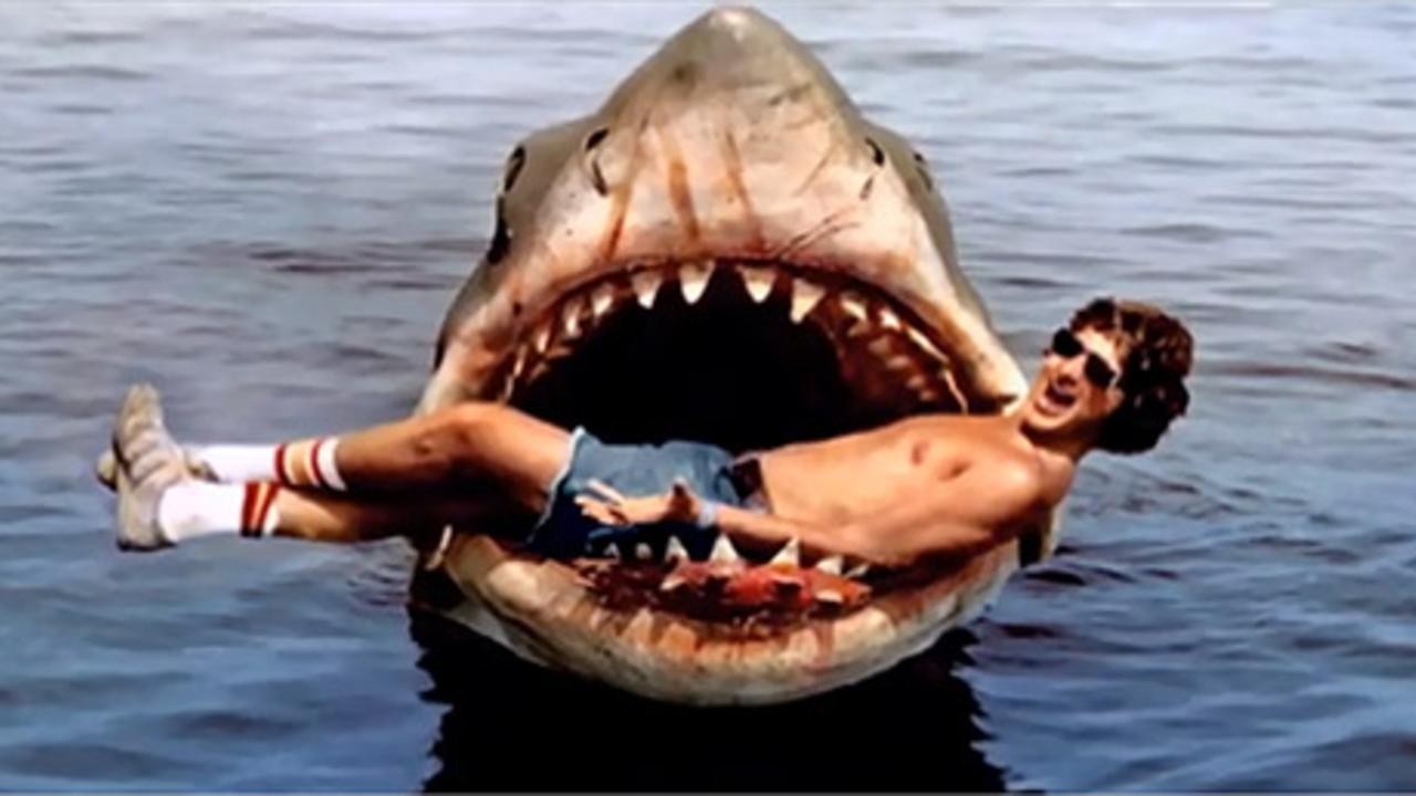 The Shark is Still Working
