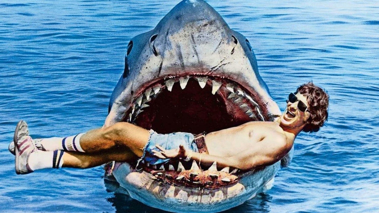 The Shark is Still Working