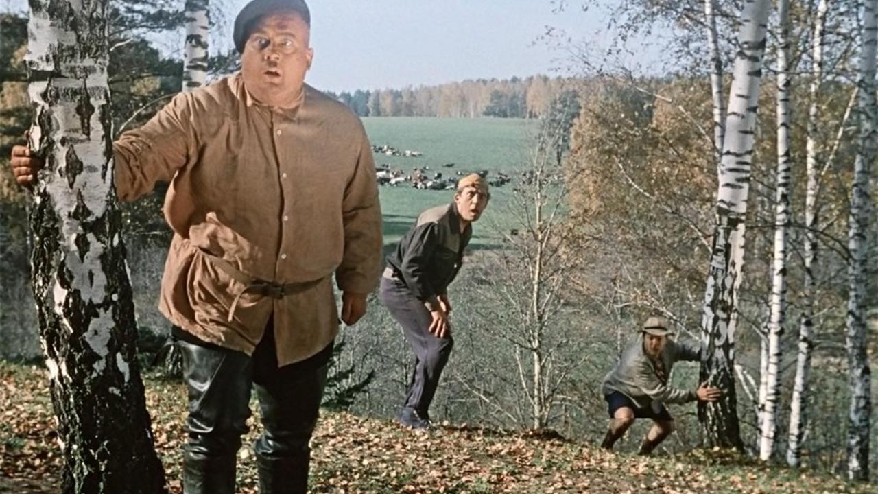 The Dog Barbos and the Strange Cross Country Race