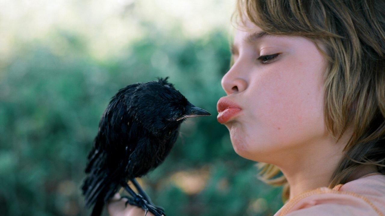 Image du film Little Bird
