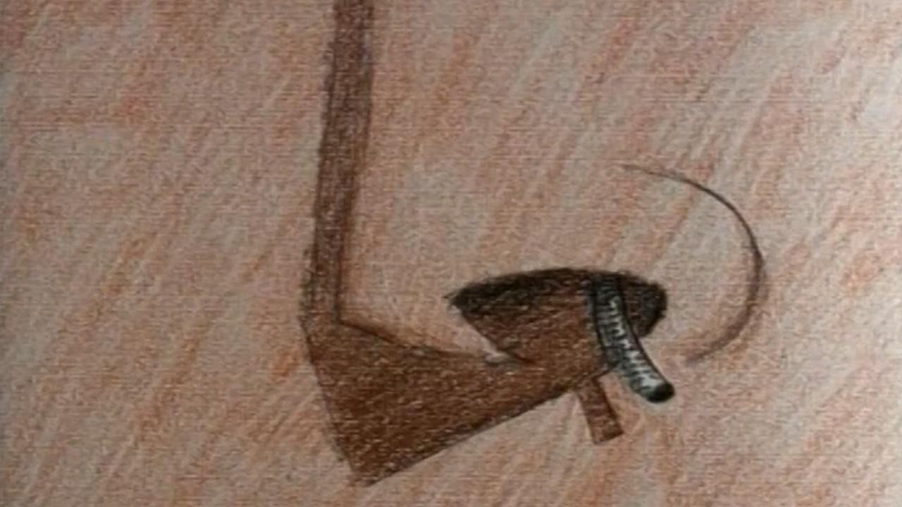 Nose Hair