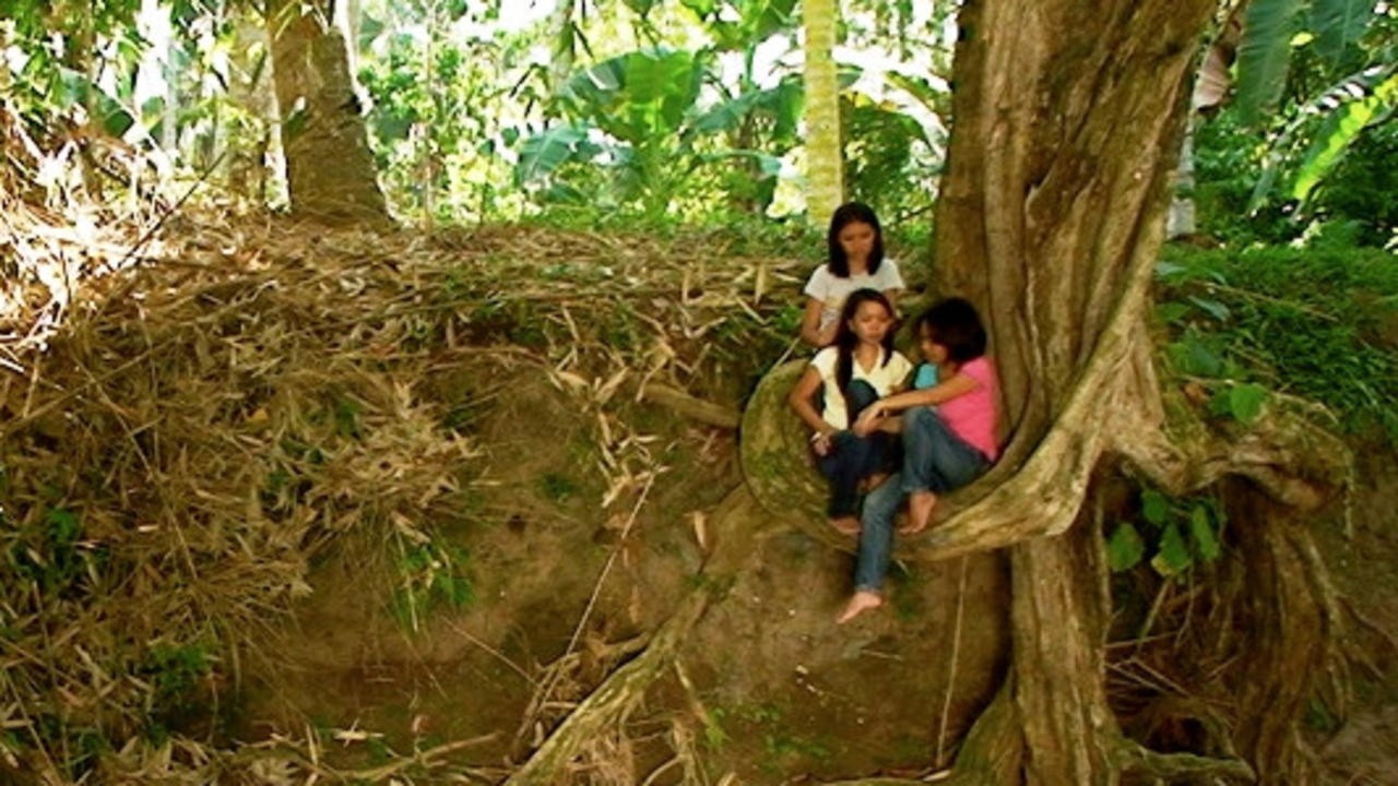 The Obscured Histories and Silent Longings of Daguluan’s Children