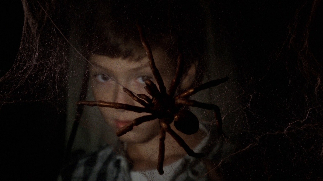 The Spider Labyrinth