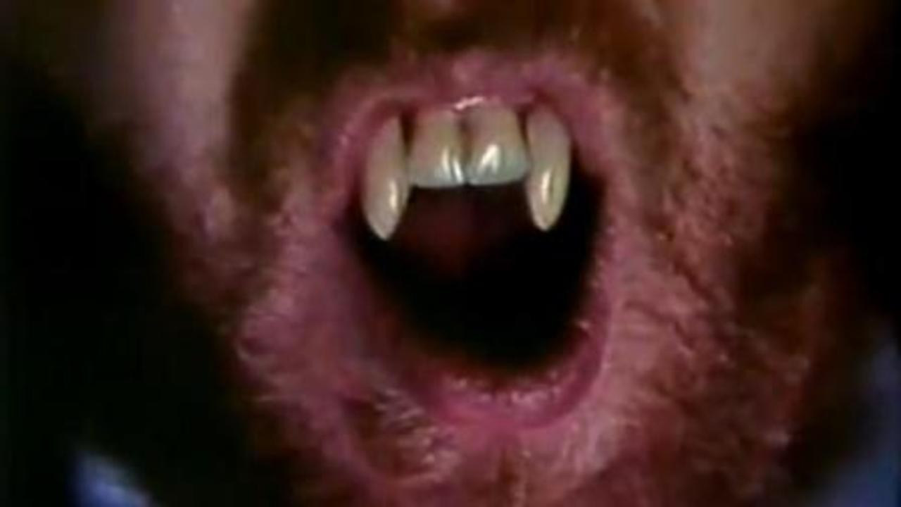 Son of Dracula