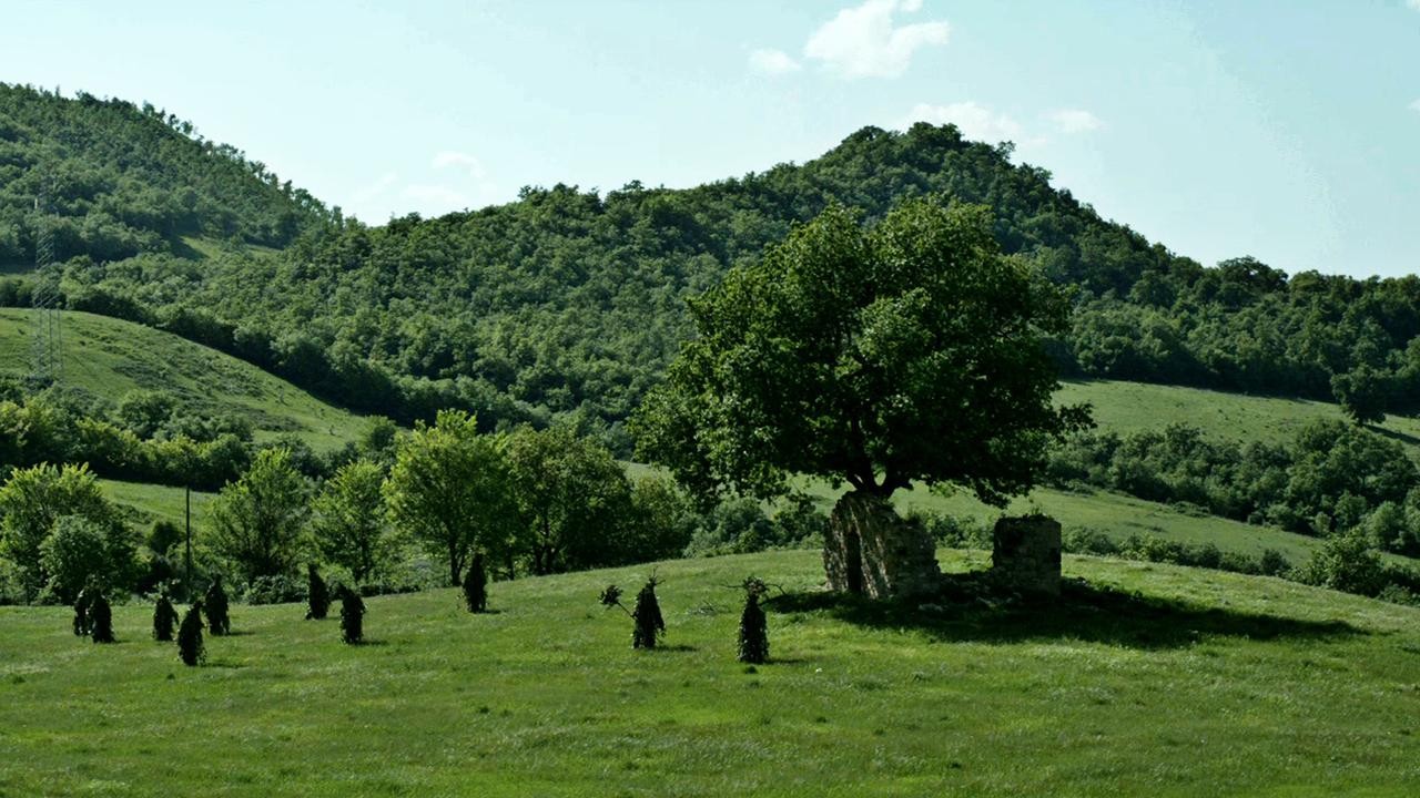 Alberi