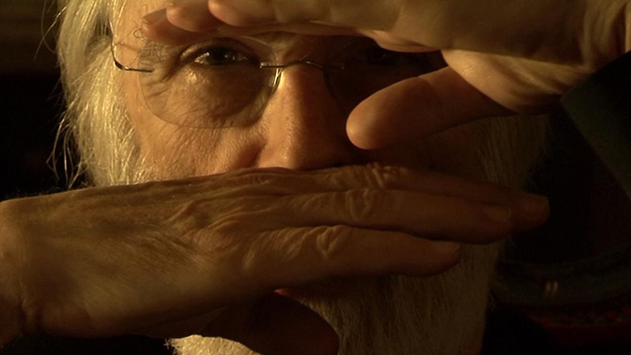 Michael Haneke - Porträt eines Film-Handwerkers