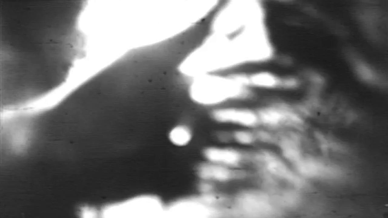 Shadow Puppet