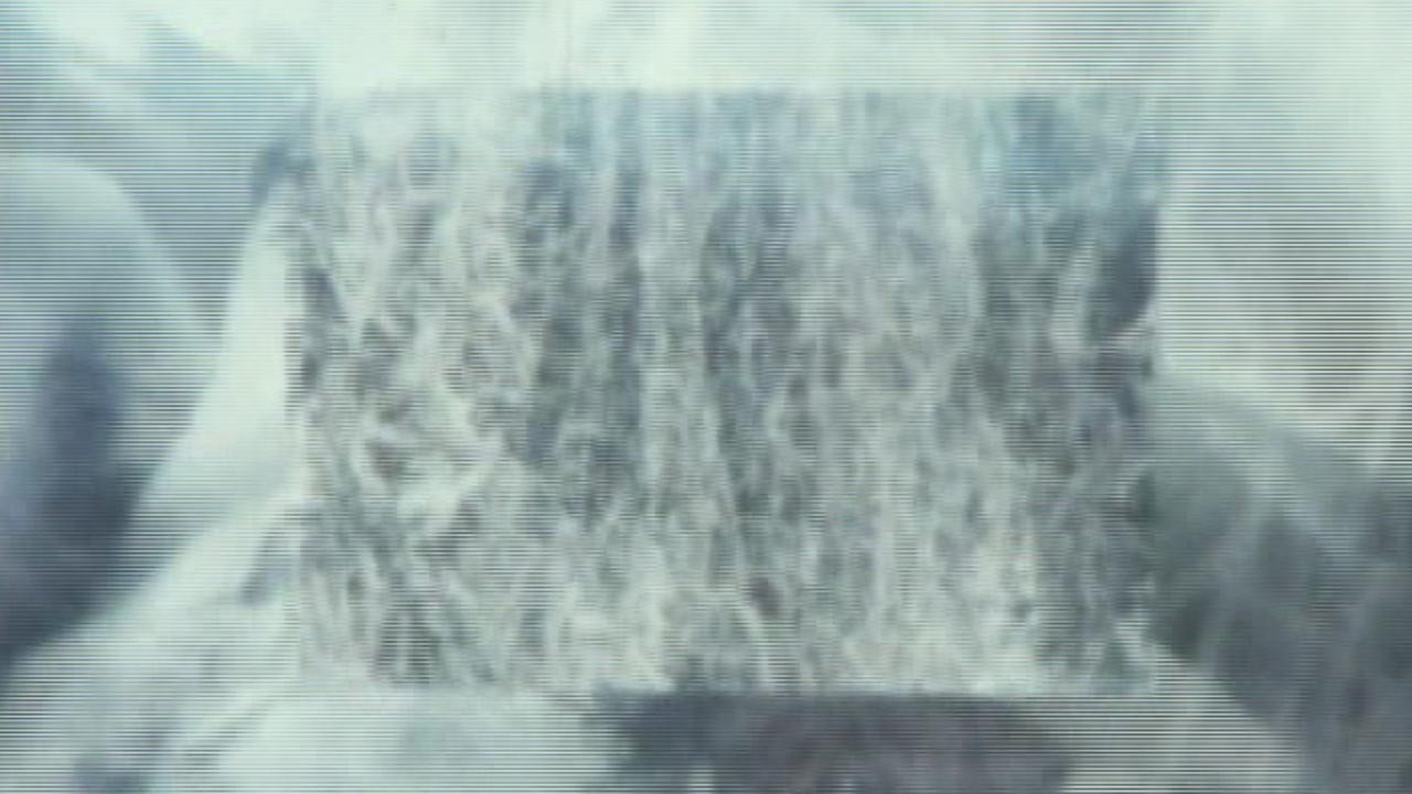 Ecosystem-6: A Sort of Mycelium