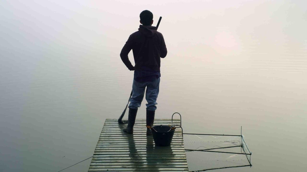 El verano de los peces voladores