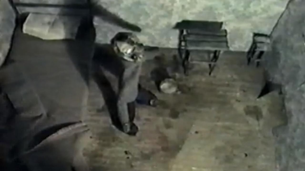 Paranoid