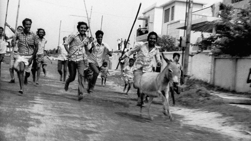 Donkey in a Brahmin Village