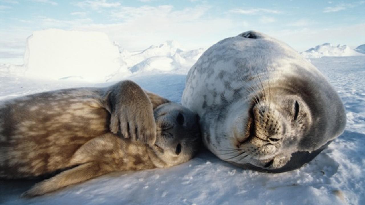 Image du film One Life