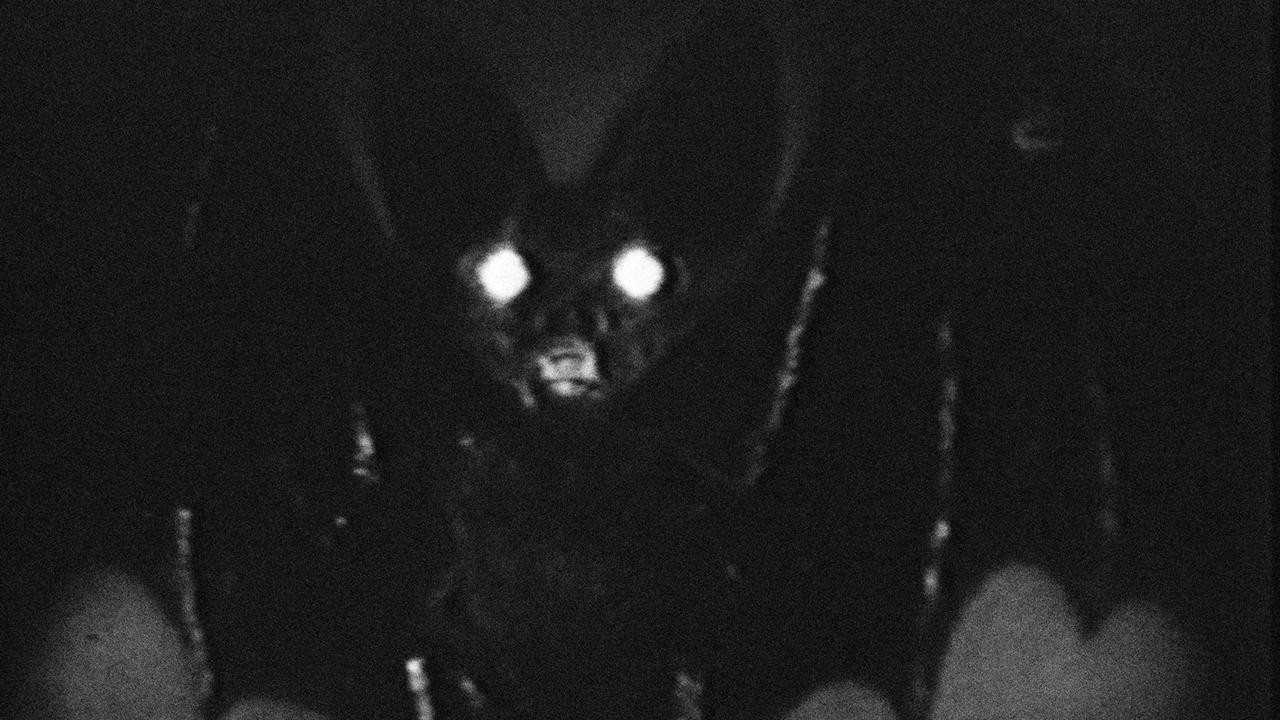 The Bat