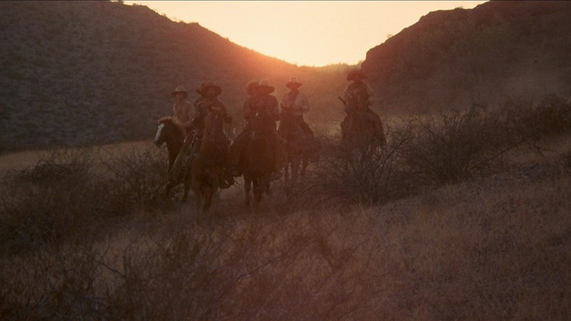 The Culpepper Cattle Co.