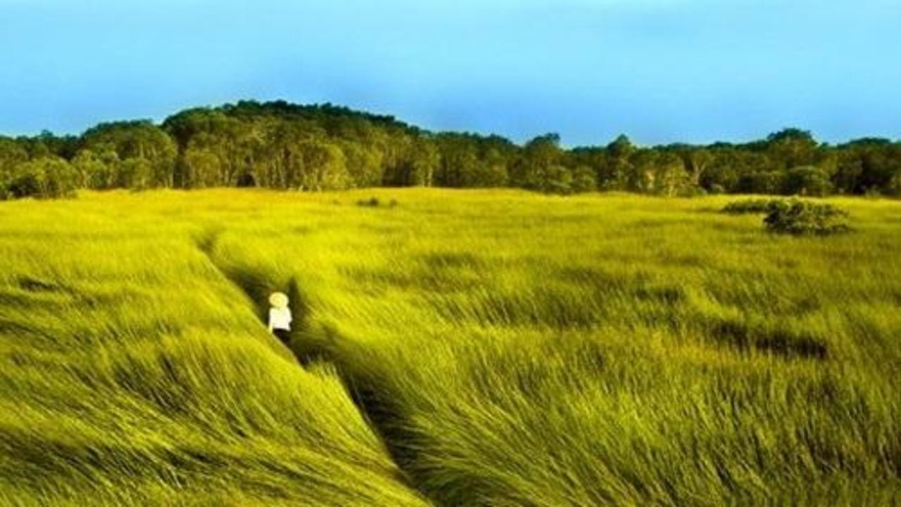 Image du film Au fil de l'eau