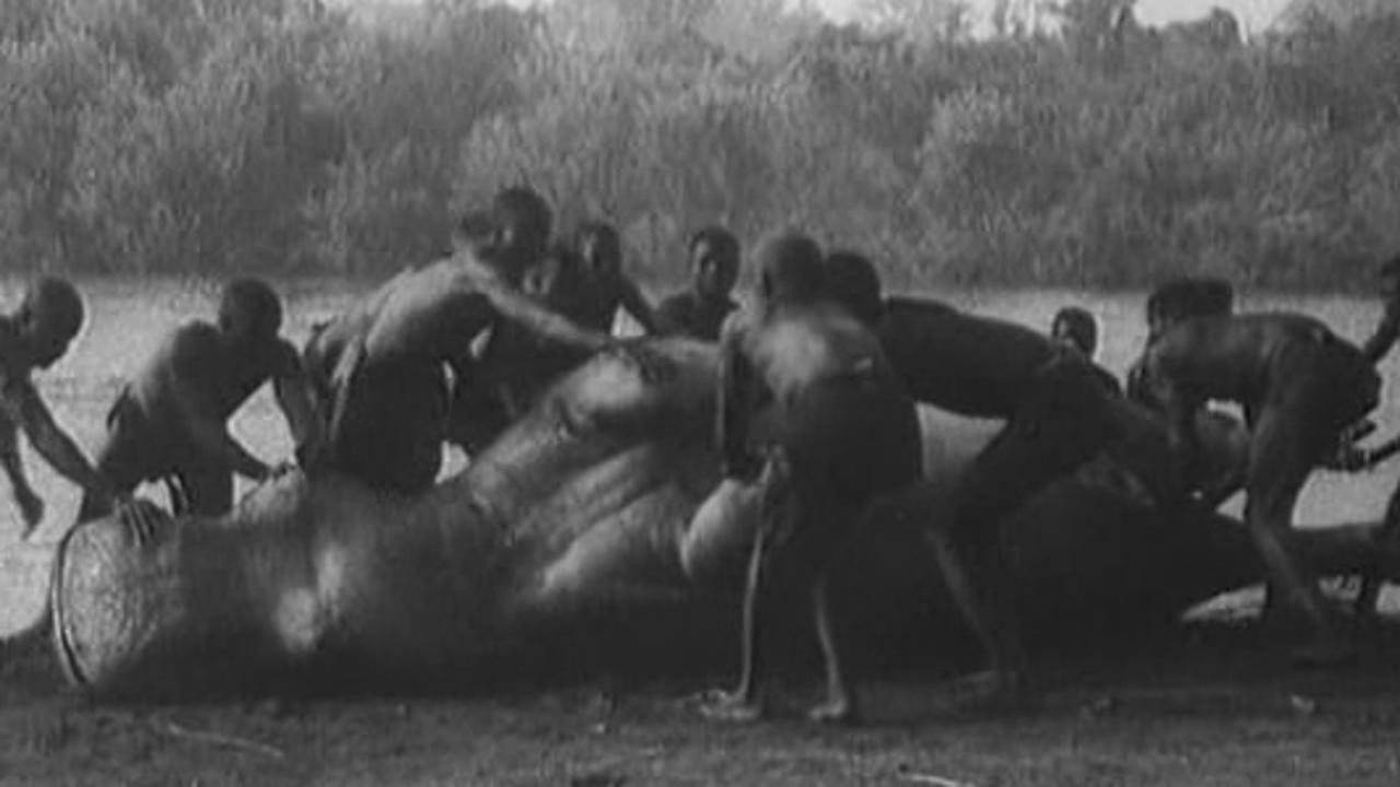 Image du film Voyage au Congo