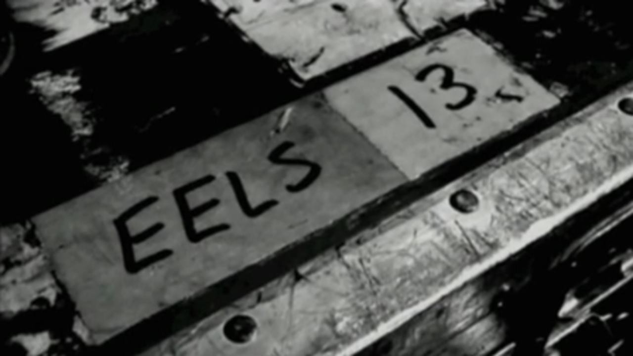 Parallel Worlds, Parallel Lives