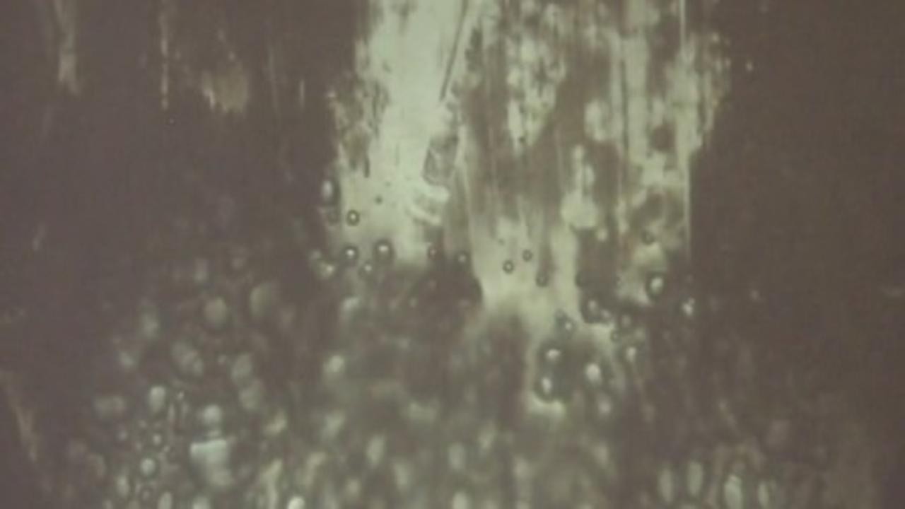 Apophenia