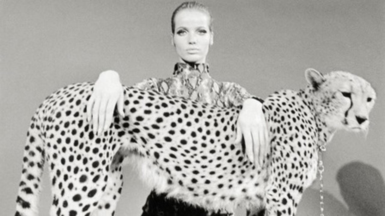 Veruschka: A Life for the Camera