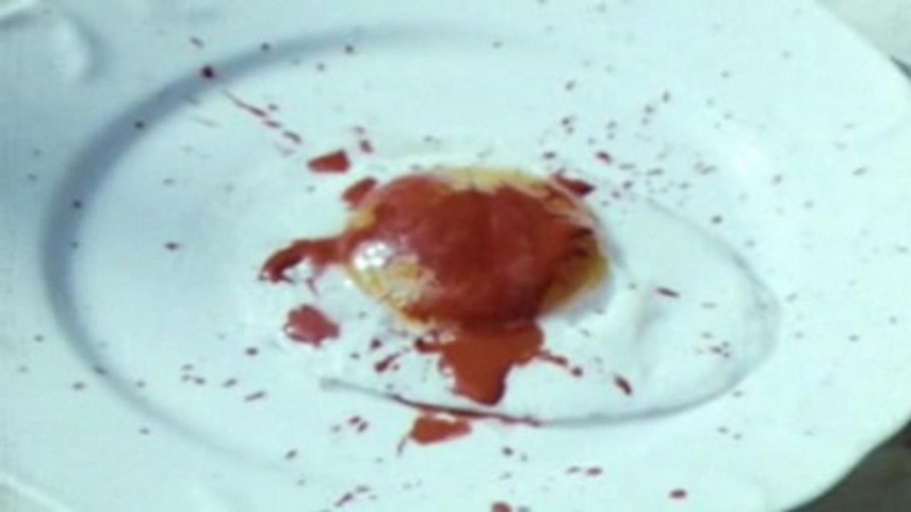 The Sufferings of a Ravaged Egg