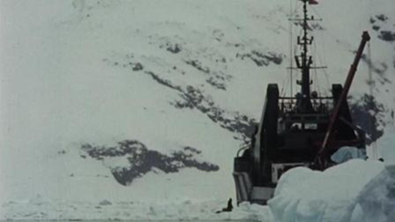 Image du film Rêves de glace